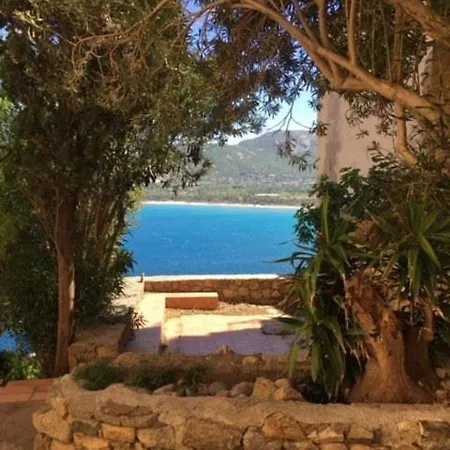 Appartement Charmant T3 Avec Piscine Calvi (Corsica)